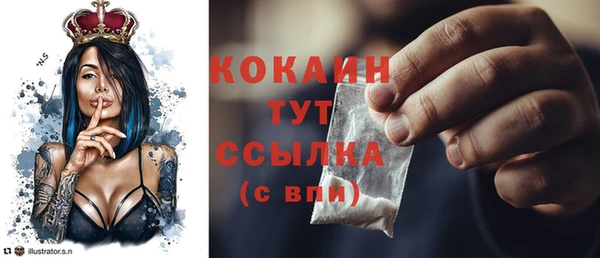 ГАЛЛЮЦИНОГЕННЫЕ ГРИБЫ Гусь-Хрустальный