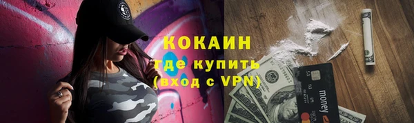 ГАЛЛЮЦИНОГЕННЫЕ ГРИБЫ Гусь-Хрустальный