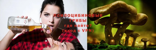 ГАЛЛЮЦИНОГЕННЫЕ ГРИБЫ Гусь-Хрустальный