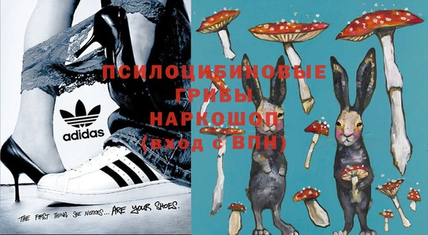 ГАЛЛЮЦИНОГЕННЫЕ ГРИБЫ Гусь-Хрустальный
