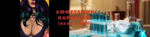 ГАЛЛЮЦИНОГЕННЫЕ ГРИБЫ Гусь-Хрустальный