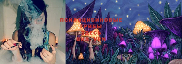 сатива Гусиноозёрск