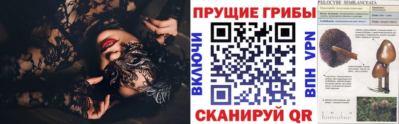 МЕГА ссылки даркнет сайт Норильск Псилоцибиновые грибы Psilocybe